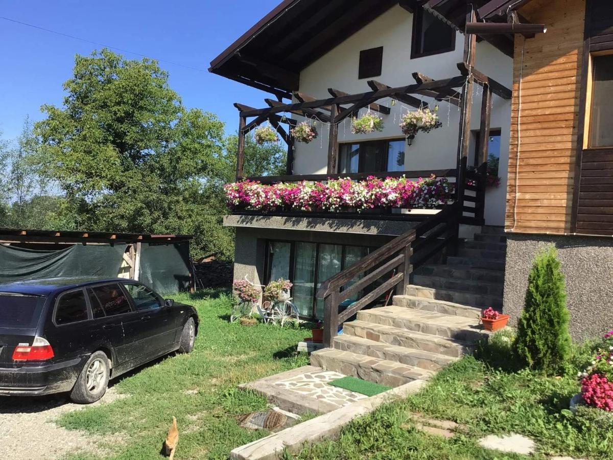 Casa Dunca Sighetu Marmaţiei Exterior foto